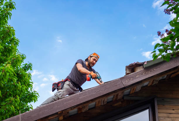 Best Roof Maintenance and Cleaning  in Black Diamond, FL