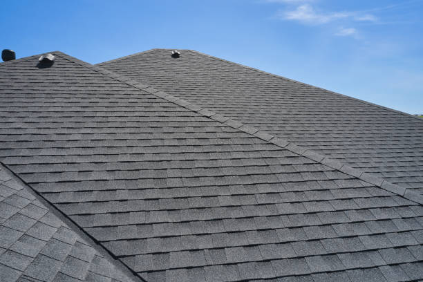 Best Solar Panel Roofing Installation  in Black Diamond, FL